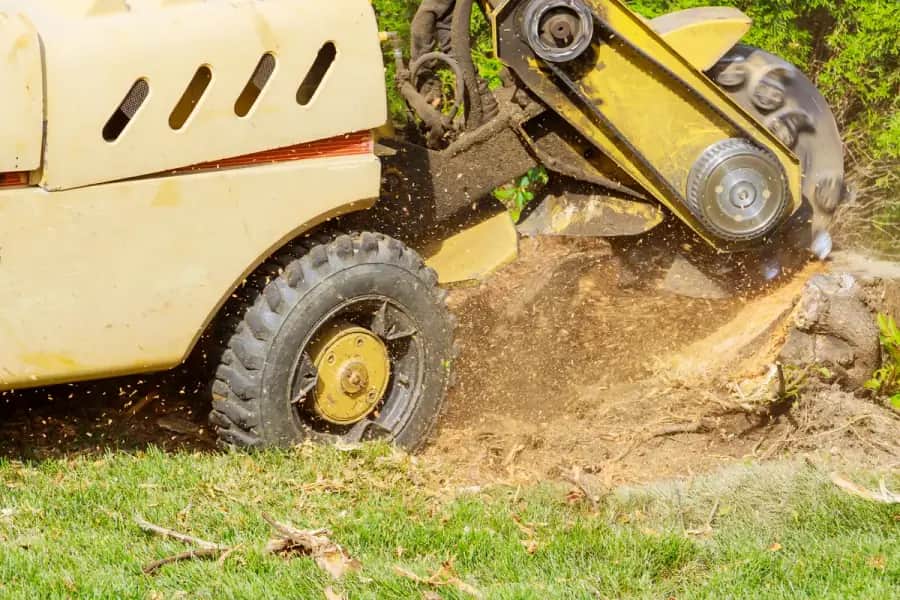 Stump Grinding in Richmond by Richmond TreeWorks