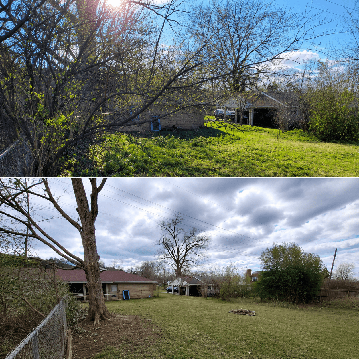 Before and after - Richmond TreeWorks project
